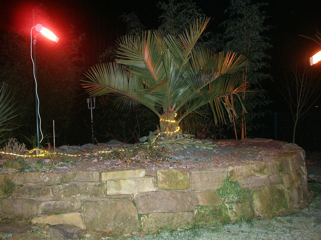 Image Hosted by ImageShack.us