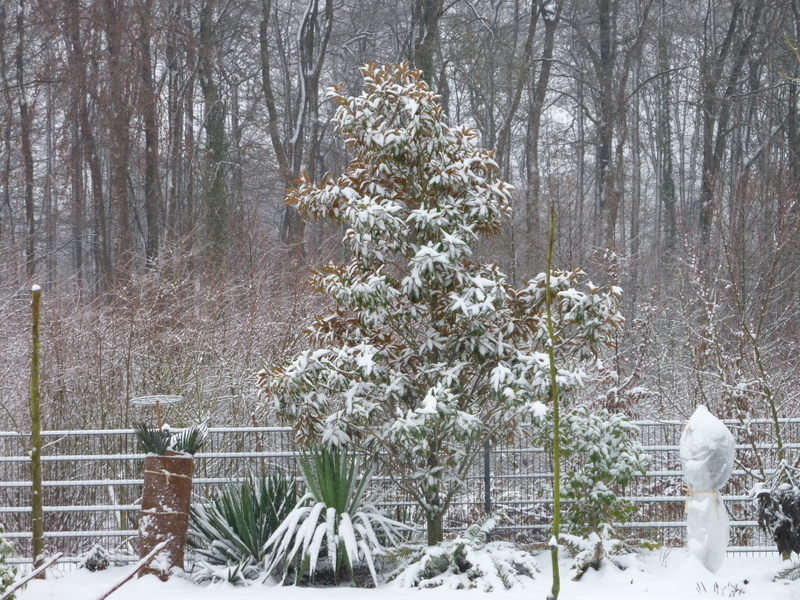 Image Hosted by ImageShack.us