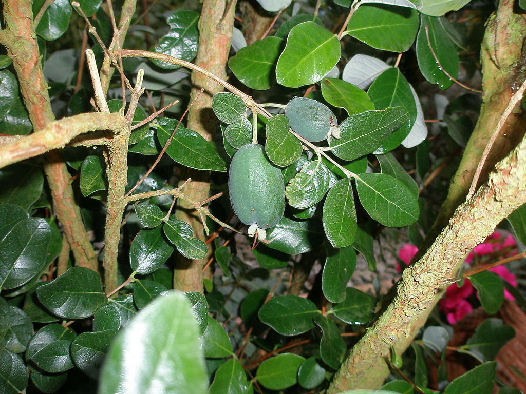 Image Hosted by ImageShack.us