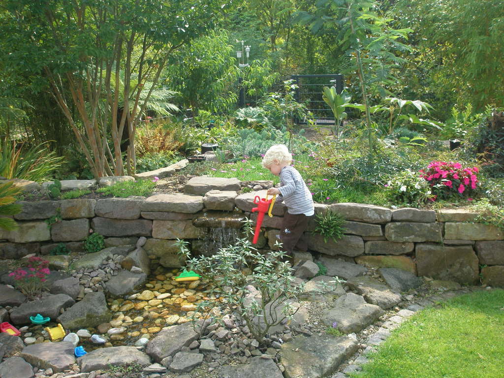 Image Hosted by ImageShack.us