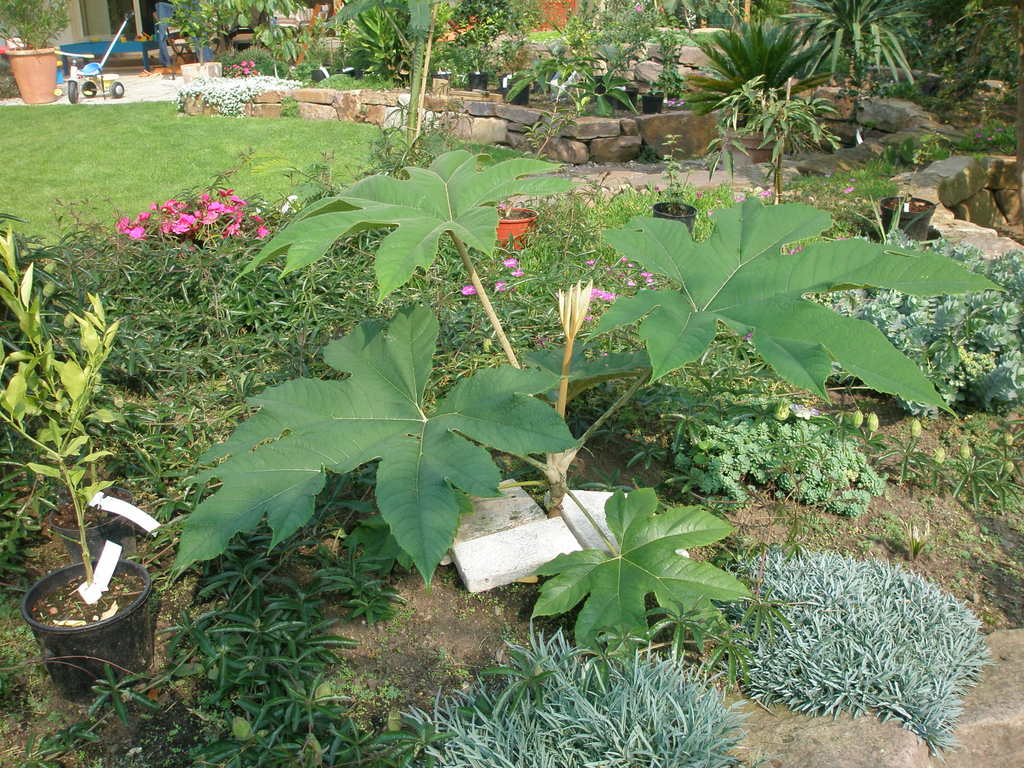 Image Hosted by ImageShack.us