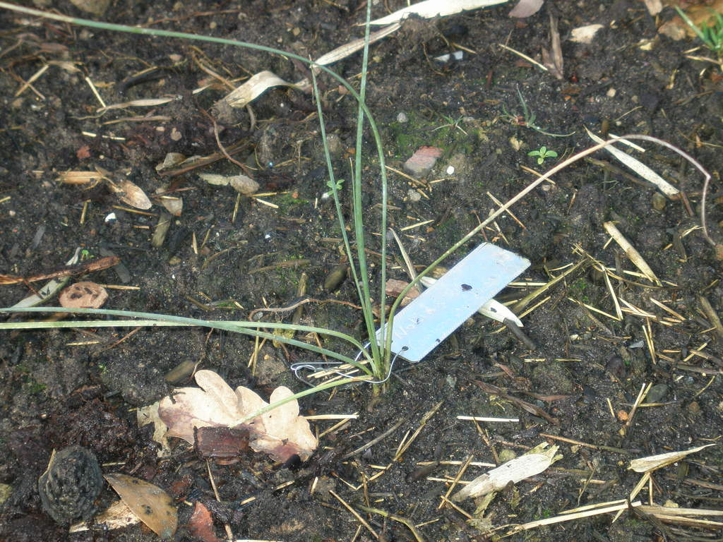 Image Hosted by ImageShack.us