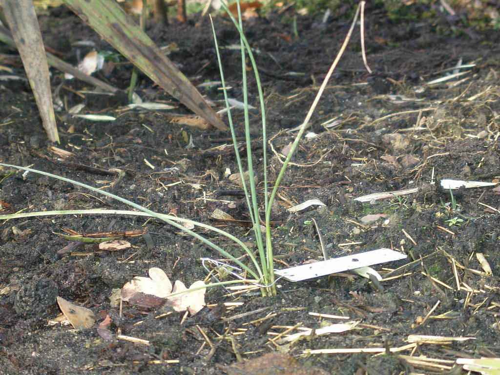 Image Hosted by ImageShack.us