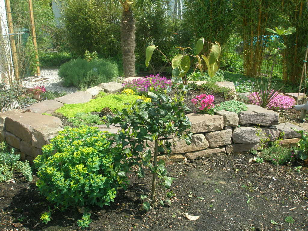 Image Hosted by ImageShack.us