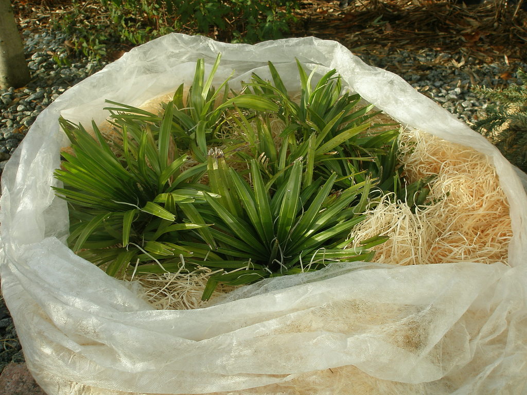 Image Hosted by ImageShack.us