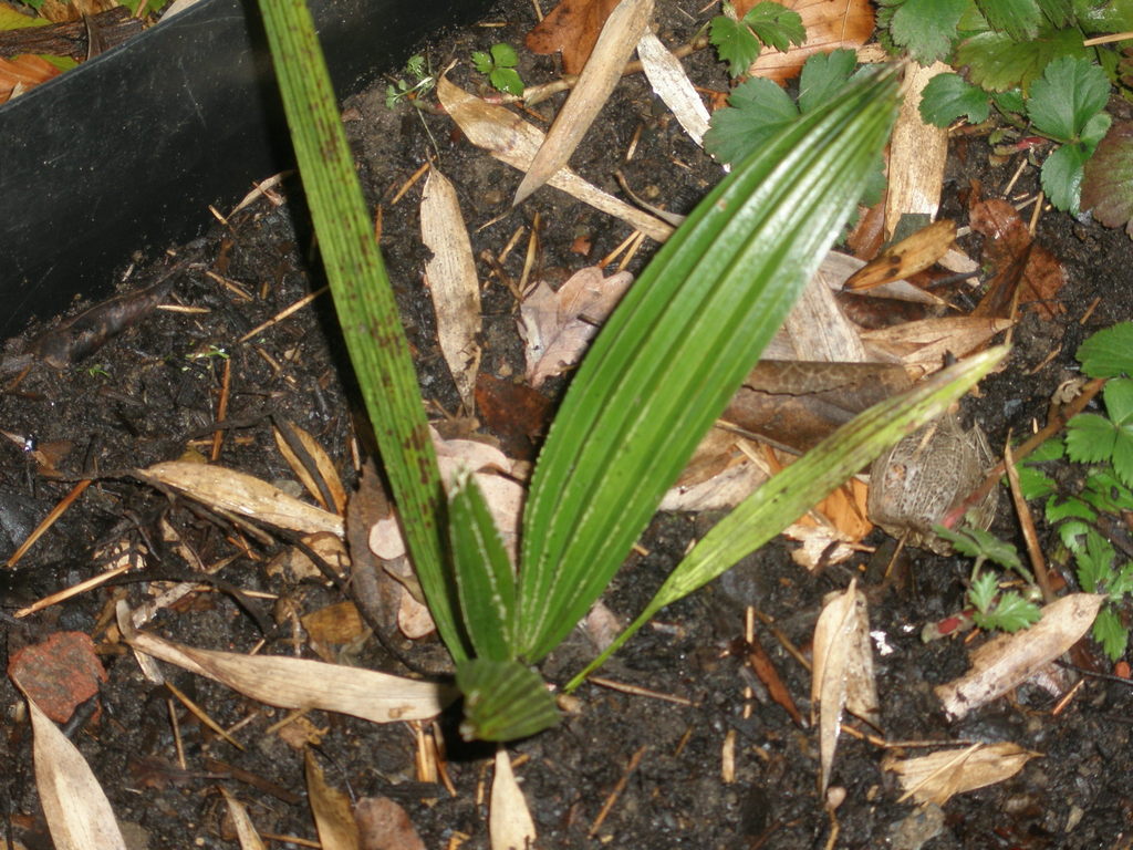 Image Hosted by ImageShack.us