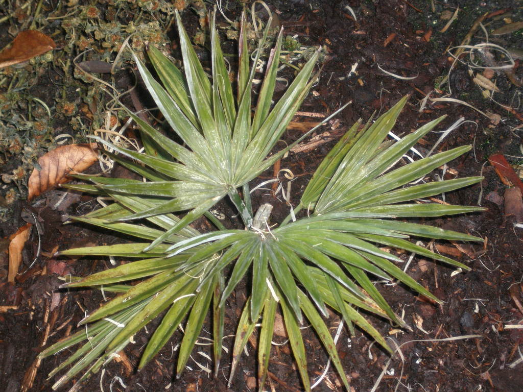 Image Hosted by ImageShack.us