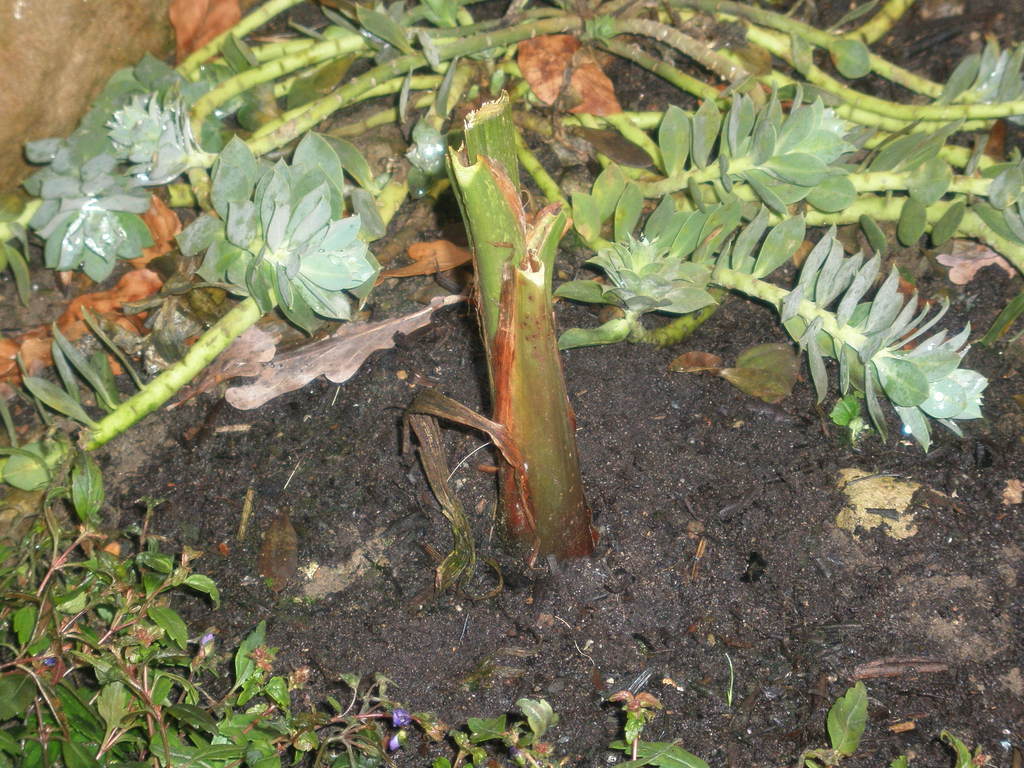 Image Hosted by ImageShack.us