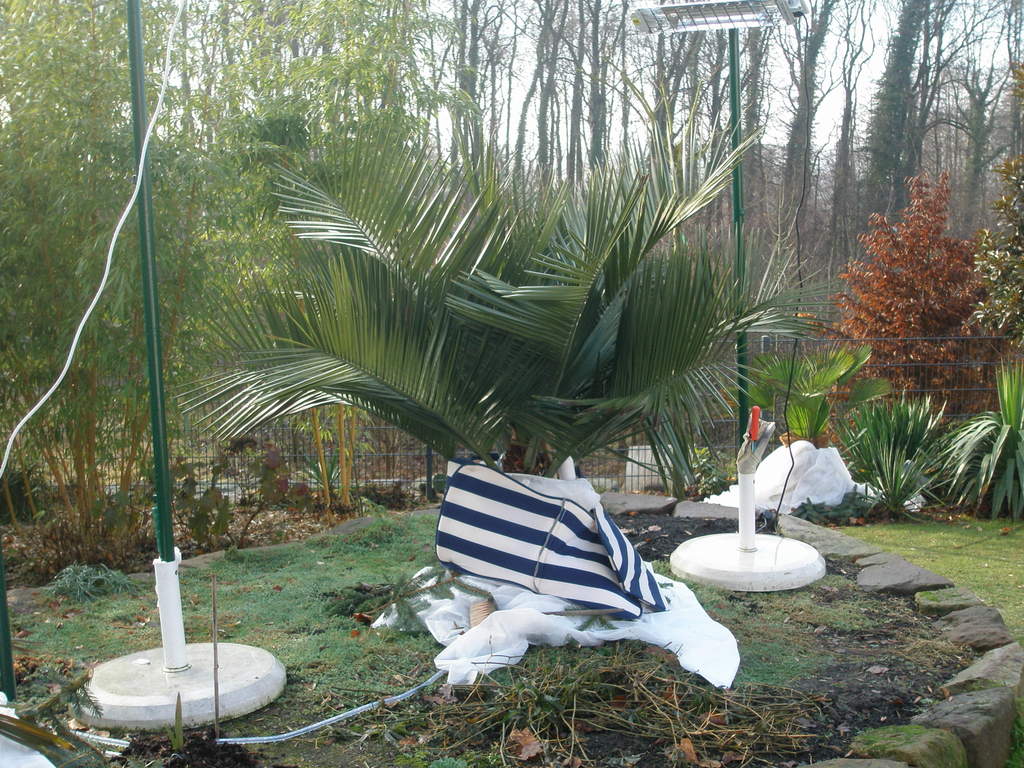 Image Hosted by ImageShack.us