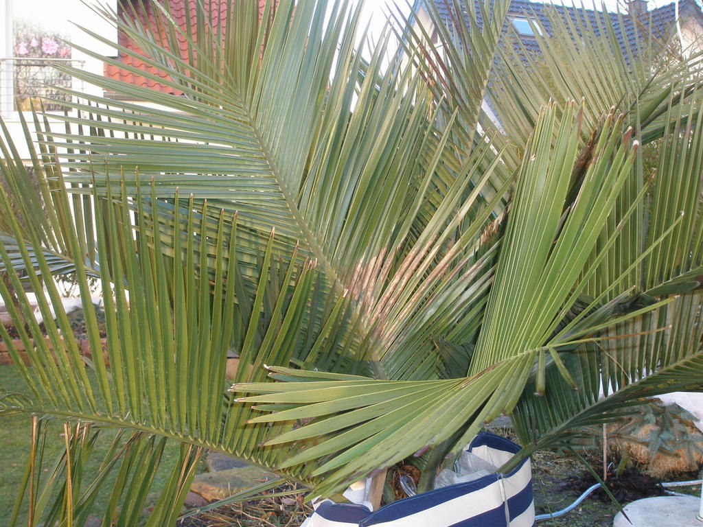 Image Hosted by ImageShack.us