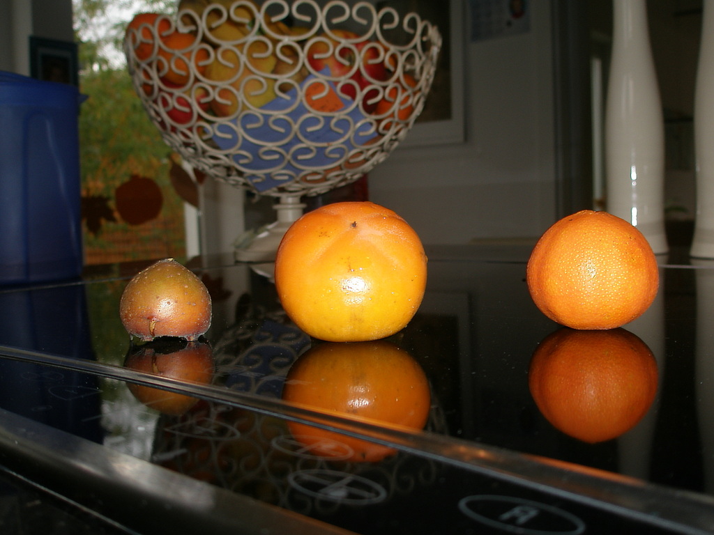 Image Hosted by ImageShack.us