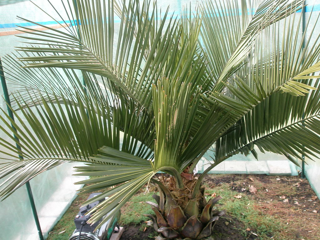 Image Hosted by ImageShack.us