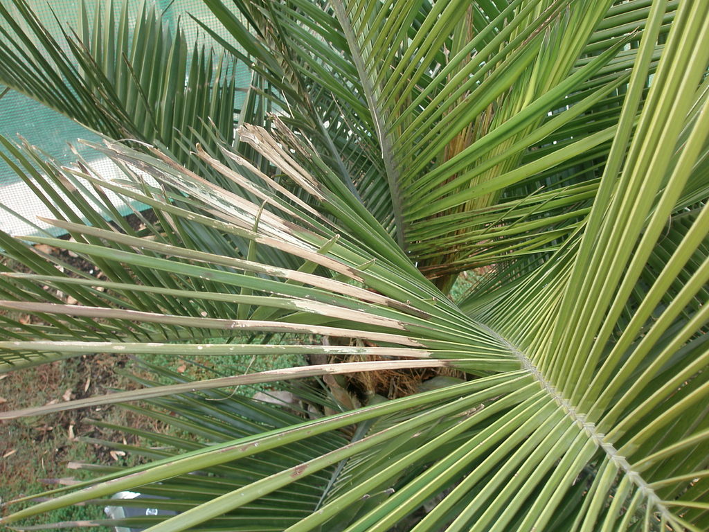 Image Hosted by ImageShack.us