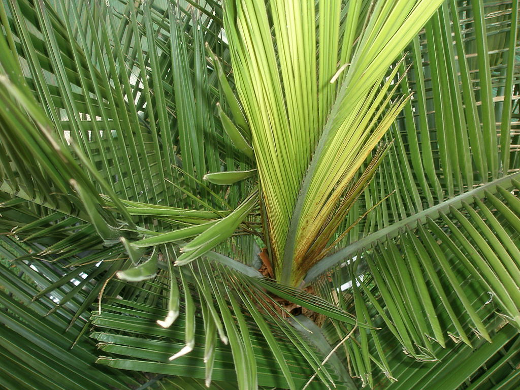 Image Hosted by ImageShack.us