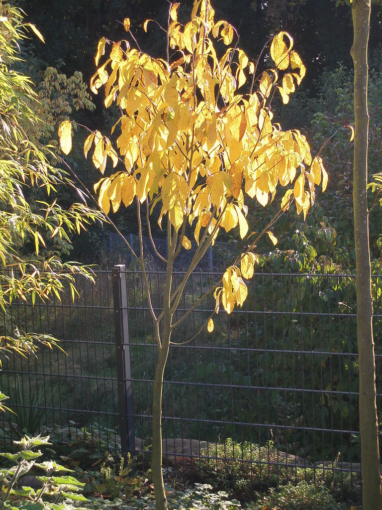 Image Hosted by ImageShack.us