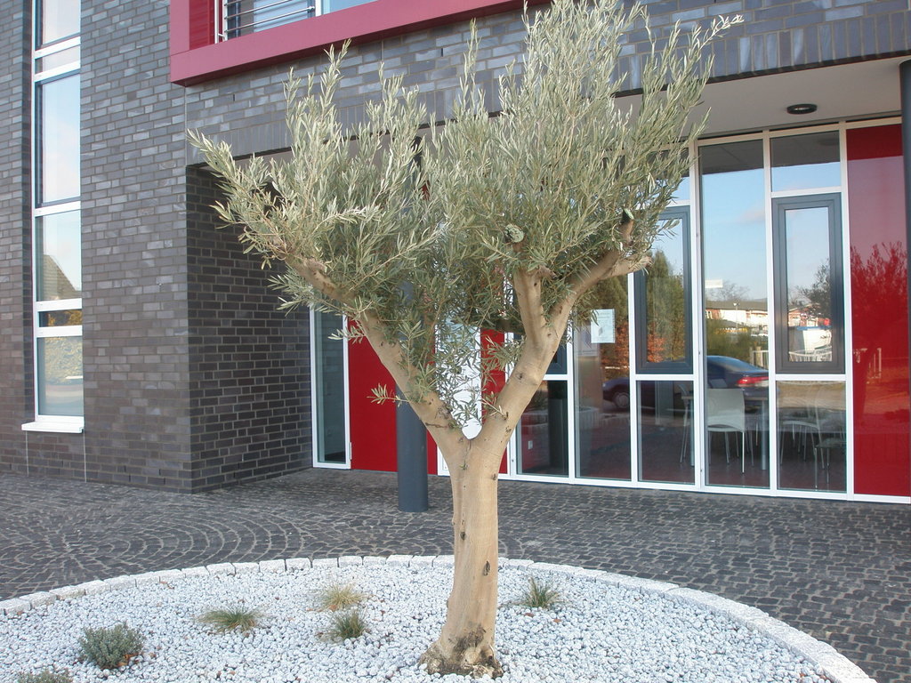 Image Hosted by ImageShack.us