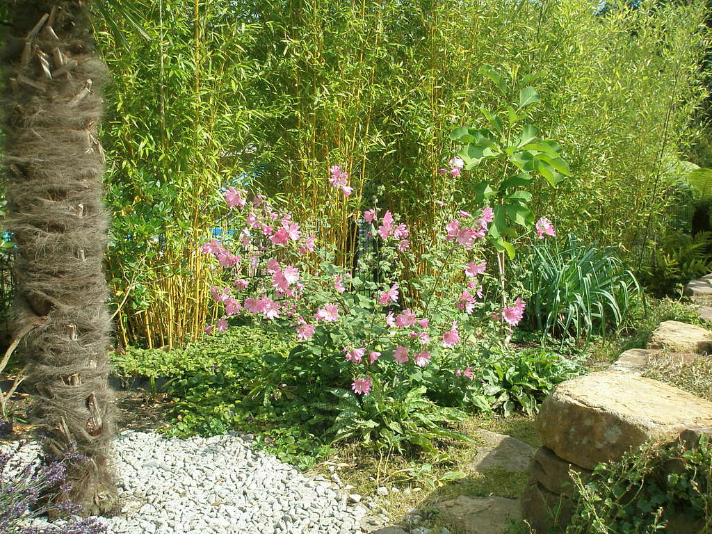 Image Hosted by ImageShack.us