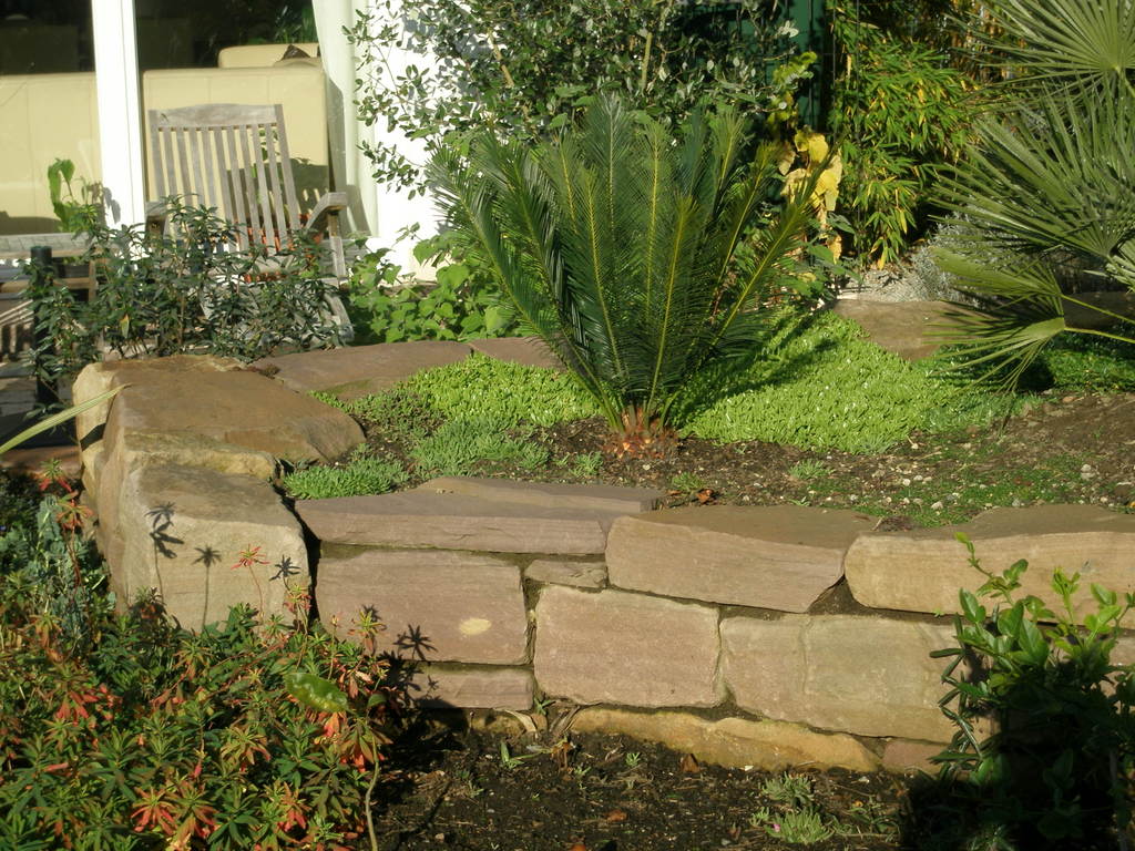 Image Hosted by ImageShack.us