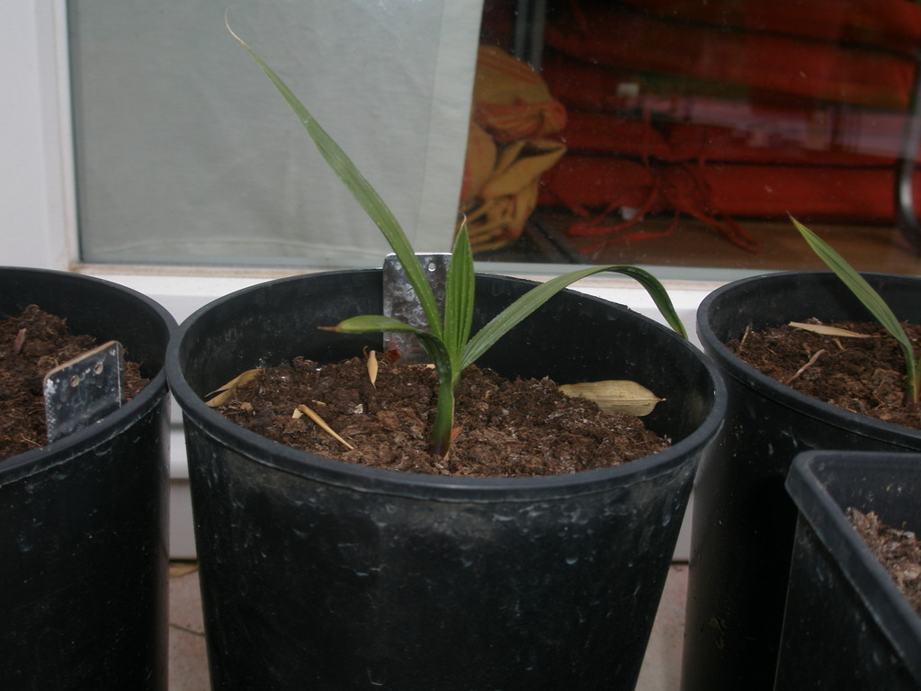 Image Hosted by ImageShack.us