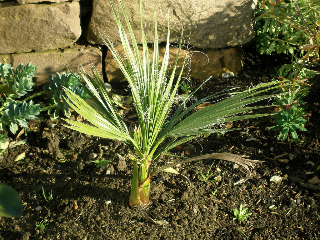 Image Hosted by ImageShack.us